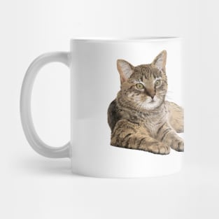 Katze Mug